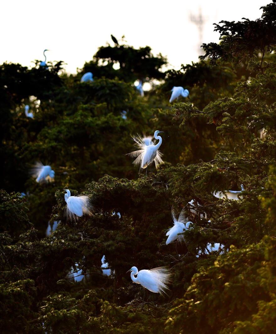 تصاویر حیاتوحش در هفتهای که گذشت تصاویر حیاتوحش در هفتهای که گذشت,عکس های حیاتوحش در هفتهای که گذشت,عکس های دیدنی های حیات وحش