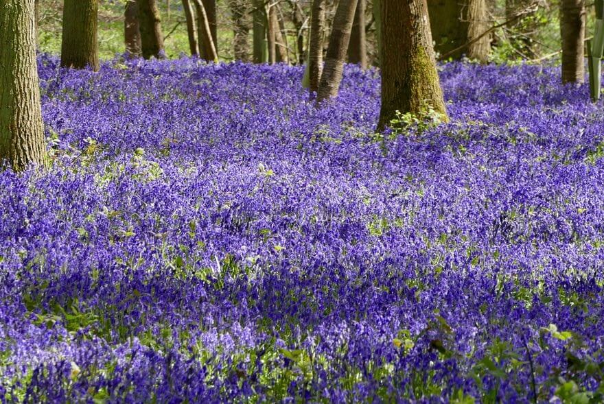 تصاویر حیاتوحش در هفتهای که گذشت تصاویر حیاتوحش در هفتهای که گذشت,عکس های حیاتوحش در هفتهای که گذشت,عکس های دیدنی های حیات وحش