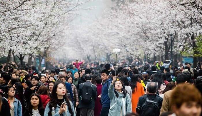 تصاویر جشن بهار‌,عکسهای جشن بهار در دنیا,عکسهای جشن بهار‌در دنیا