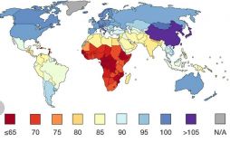 اینفوگراف میزان بهره هوشی در کشورهای دنیا