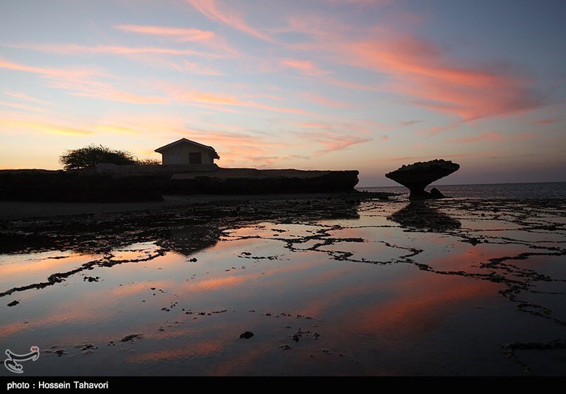 خلیج فارس،محیط زیست،خبرهای اجتماعی،اخبار اجتماعی اخبار اجتماعی,خبرهای اجتماعی,محیط زیست,خلیج فارس