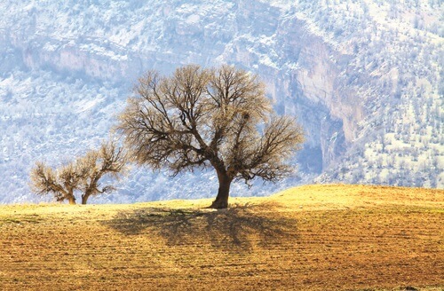 محیط زیست،خبرهای اجتماعی،اخبار اجتماعی اخبار اجتماعی,خبرهای اجتماعی,محیط زیست
