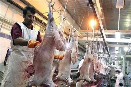 اخبار پزشکی,خبرهای پزشکی,بهداشت,تب کریمه