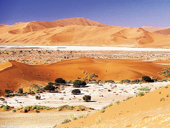 اخبار اجتماعی,خبرهای اجتماعی,محیط زیست,بيابان‌زايي