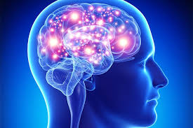مغز،اختراعات و پژوهش،خبرهای علمی،اخبار علمی اخبار علمی,خبرهای علمی,اختراعات و پژوهش,مغز