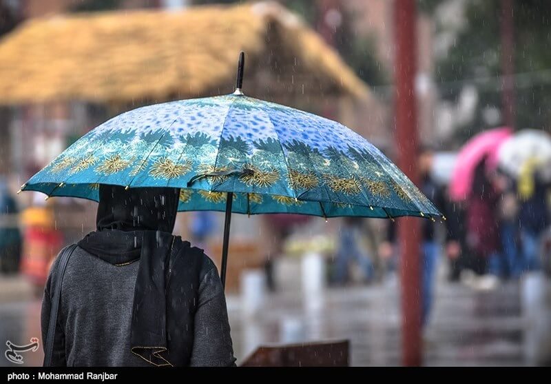 بارش باران بهاری،محیط زیست،خبرهای اجتماعی،اخبار اجتماعی اخبار اجتماعی,خبرهای اجتماعی,محیط زیست,بارش باران بهاری