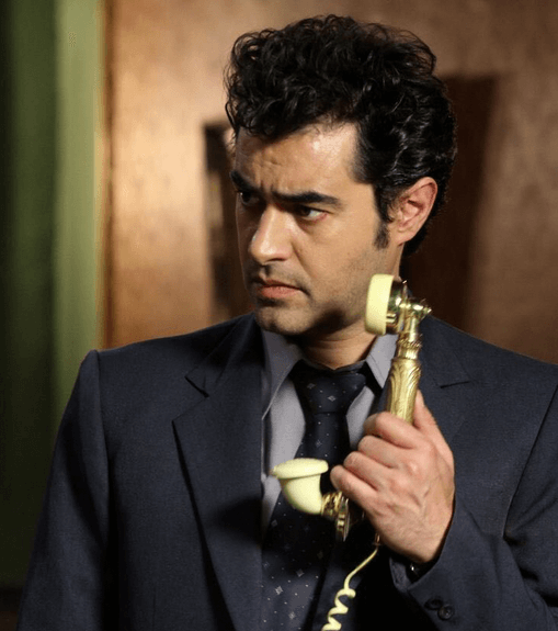 اخبار فیلم و سینما,خبرهای فیلم و سینما,سینمای ایران,شهاب حسینی