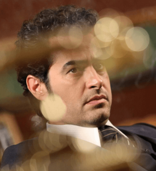 اخبار فیلم و سینما,خبرهای فیلم و سینما,سینمای ایران,شهاب حسینی