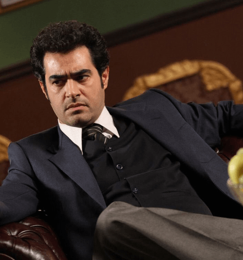 اخبار فیلم و سینما,خبرهای فیلم و سینما,سینمای ایران,شهاب حسینی