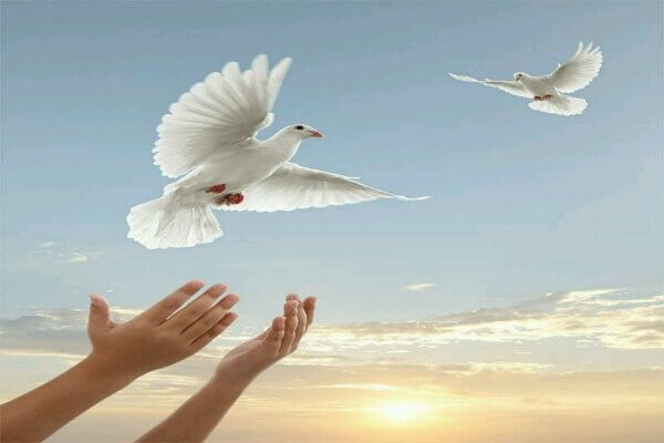 ستاد دیه،حقوقی انتظامی،خبرهای اجتماعی،اخبار اجتماعی اخبار اجتماعی,خبرهای اجتماعی,حقوقی انتظامی,ستاد دیه