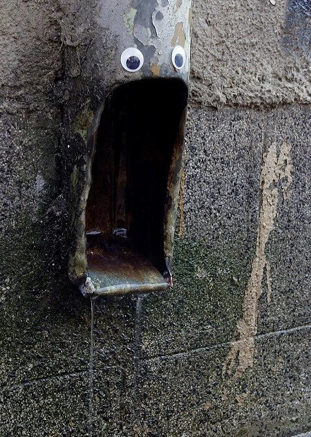 اخبار جالب,خبرهای جالب,خواندنی ها و دیدنی ها,اشیای شکسته خیابان