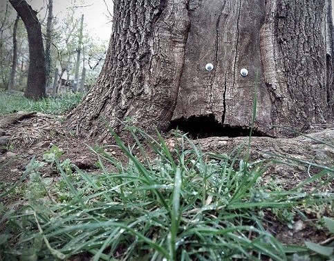 اخبار جالب,خبرهای جالب,خواندنی ها و دیدنی ها,اشیای شکسته خیابان