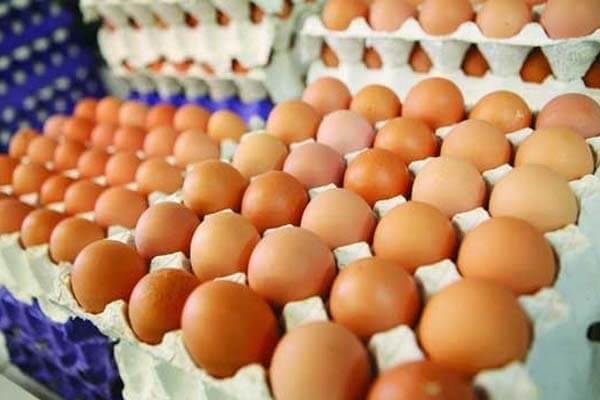 تخم مرغ قهوهای،کشت و دام و صنعت،خبرهای اقتصادی،اخبار اقتصادی اخبار اقتصادی,خبرهای اقتصادی,کشت و دام و صنعت,تخم مرغ قهوهای