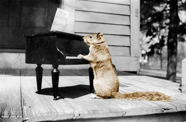 حقیقت های جالب،خواندنی ها و دیدنی ها،خبرهای جالب،اخبار جالب اخبار جالب,خبرهای جالب,خواندنی ها و دیدنی ها,حقیقت های جالب