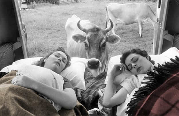 حقیقت های جالب،خواندنی ها و دیدنی ها،خبرهای جالب،اخبار جالب اخبار جالب,خبرهای جالب,خواندنی ها و دیدنی ها,حقیقت های جالب