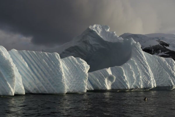 اخبار علمی,خبرهای علمی,طبیعت و محیط زیست,کوه یخ