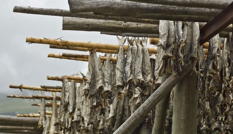 زمین فوتبال،اخبار ورزشکاران،خبرهای ورزشی،اخبار ورزشی اخبار ورزشی,خبرهای ورزشی,اخبار ورزشکاران,زمین فوتبال