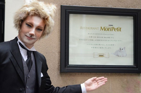 اخبار جالب,خبرهای جالب,خواندنی ها و دیدنی ها,گربه