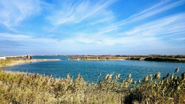 نابودی تالابها،محیط زیست،خبرهای اجتماعی،اخبار اجتماعی اخبار اجتماعی,خبرهای اجتماعی,محیط زیست,نابودی تالابها