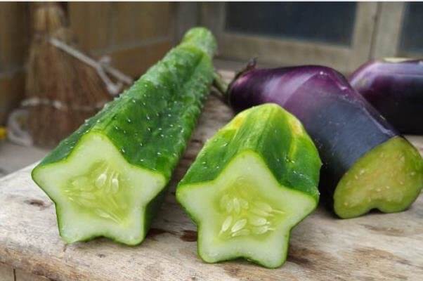 میوه های عجیب،طبیعت و محیط زیست،خبرهای علمی،اخبار علمی اخبار علمی,خبرهای علمی,طبیعت و محیط زیست,میوه های عجیب