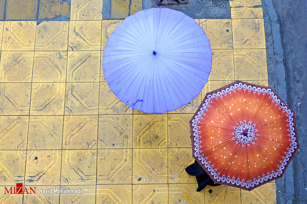 افزایش دمای هوا،محیط زیست،خبرهای اجتماعی،اخبار اجتماعی اخبار اجتماعی,خبرهای اجتماعی,محیط زیست,افزایش دمای هوا