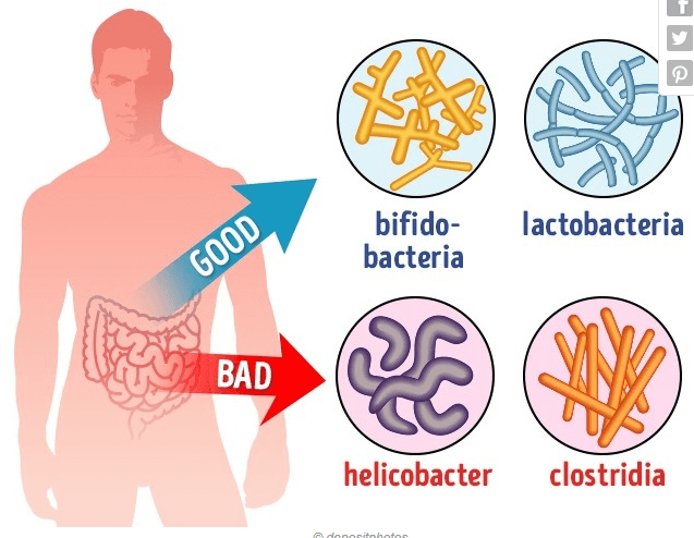 اخبار پزشکی,خبرهای پزشکی,بهداشت,خواص بادام