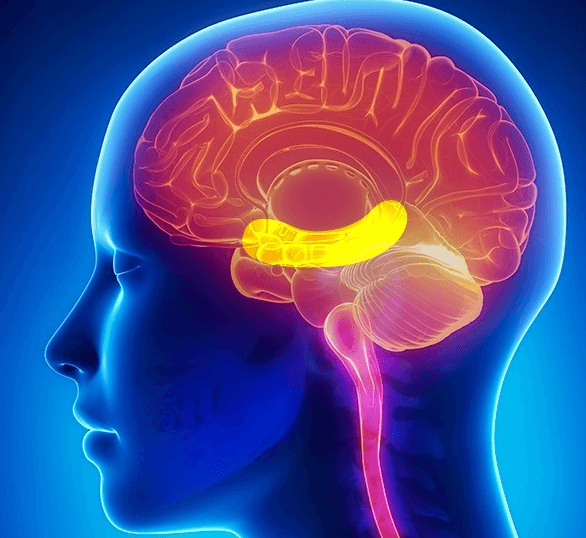 اخبار پزشکی,خبرهای پزشکی,بهداشت,خواص بادام