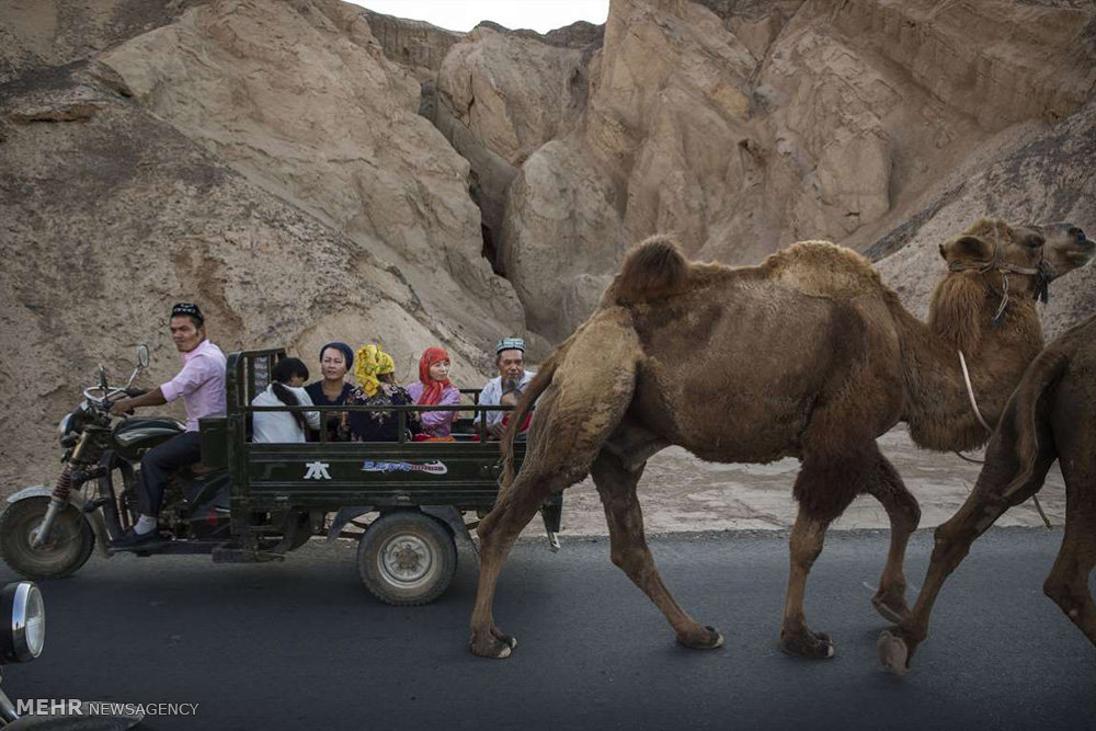 اخبار جالب,خبرهای جالب,خواندنی ها و دیدنی ها,سینکیانگ در شمال غربی چین