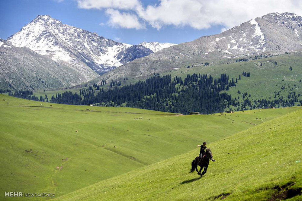 اخبار جالب,خبرهای جالب,خواندنی ها و دیدنی ها,سینکیانگ در شمال غربی چین