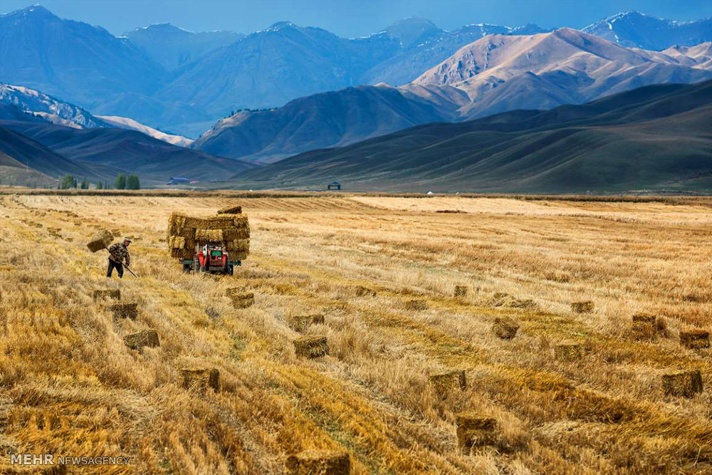 اخبار جالب,خبرهای جالب,خواندنی ها و دیدنی ها,سینکیانگ در شمال غربی چین