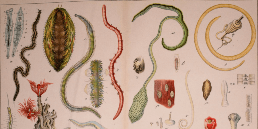 اخبار جالب,خبرهای جالب,خواندنی ها و دیدنی ها,خصوصیت شخصیتی