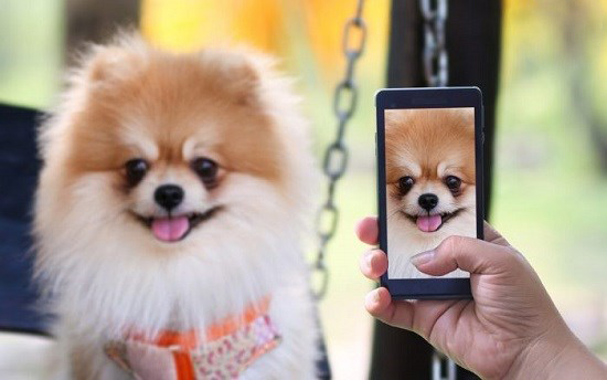 تصاویر خنده حیوانات,عکسهای خنده حیوانات,عکس خنده حیوانات