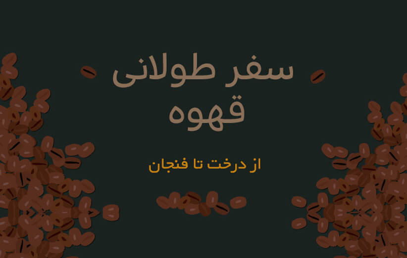 اینفوگراف تهیه و تولید قهوه