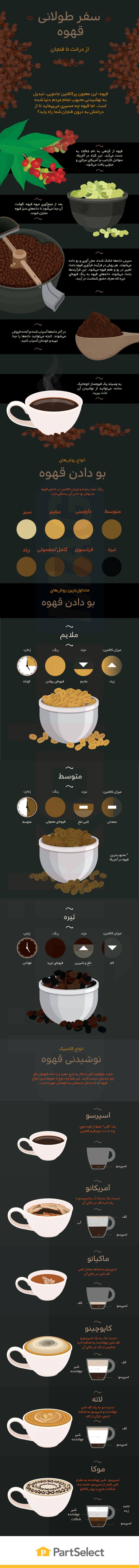 اینفوگراف تهیه و تولید قهوه