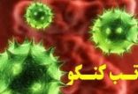 اخبار پزشکی,خبرهای پزشکی,بهداشت,تب کنگو