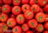 اخبار پزشکی,خبرهای پزشکی,تازه های پزشکی,گوجه فرنگی