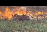 اخبار حوادث,خبرهای حوادث,حوادث امروز,آتش سوزی در جنگل های پرتغال