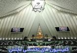 اخبار سیاسی,خبرهای سیاسی,مجلس,کمیسیون های تخصصی مجلس