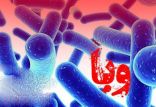 اخبار پزشکی,خبرهای پزشکی,بهداشت,بیماری وبا