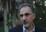 اخبار اجتماعی,خبرهای اجتماعی,شهر و روستا,محمدعلی نجفی