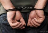 اخبار حوادث,خبرهای حوادث,جرم و جنایت,سرقت از انبارهای تجاری تهران