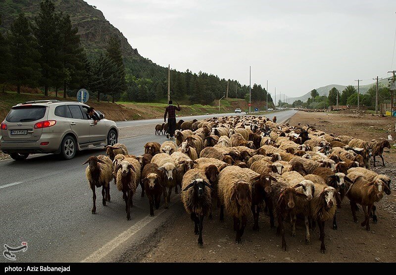 تصاویرکوچ عشایر لرستان,عکس های کوچ عشایرلرستان,عکس عشایرلرستان