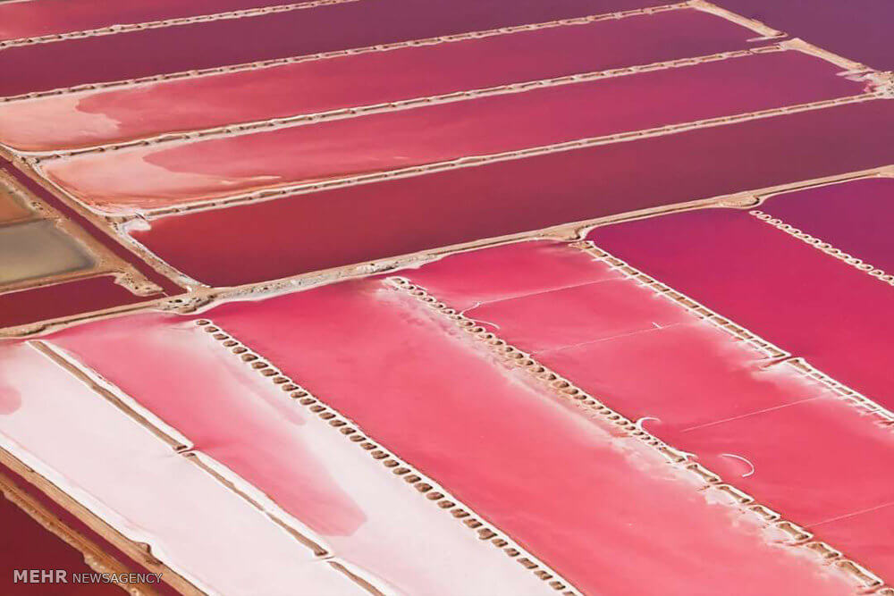 تصاویردشت های رنگی نمک,تصاویردشت های نمک جهان,عکس های دشت های نگی