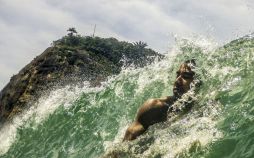 عکس شرکت کننده در مسابقه نشنال,تصاویرشرکت کننده در مسابقه نشنال, عکس شرکت کنندگان نشنال جغرافیک