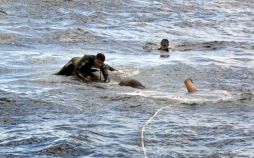 تصاویرنجات فیل ازدریا,عکس های عملیات نجات فیل,تصاویرنجات فیل رها شده در دریا