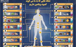اینفوگرافیک نشانه های کمبود ویتامین