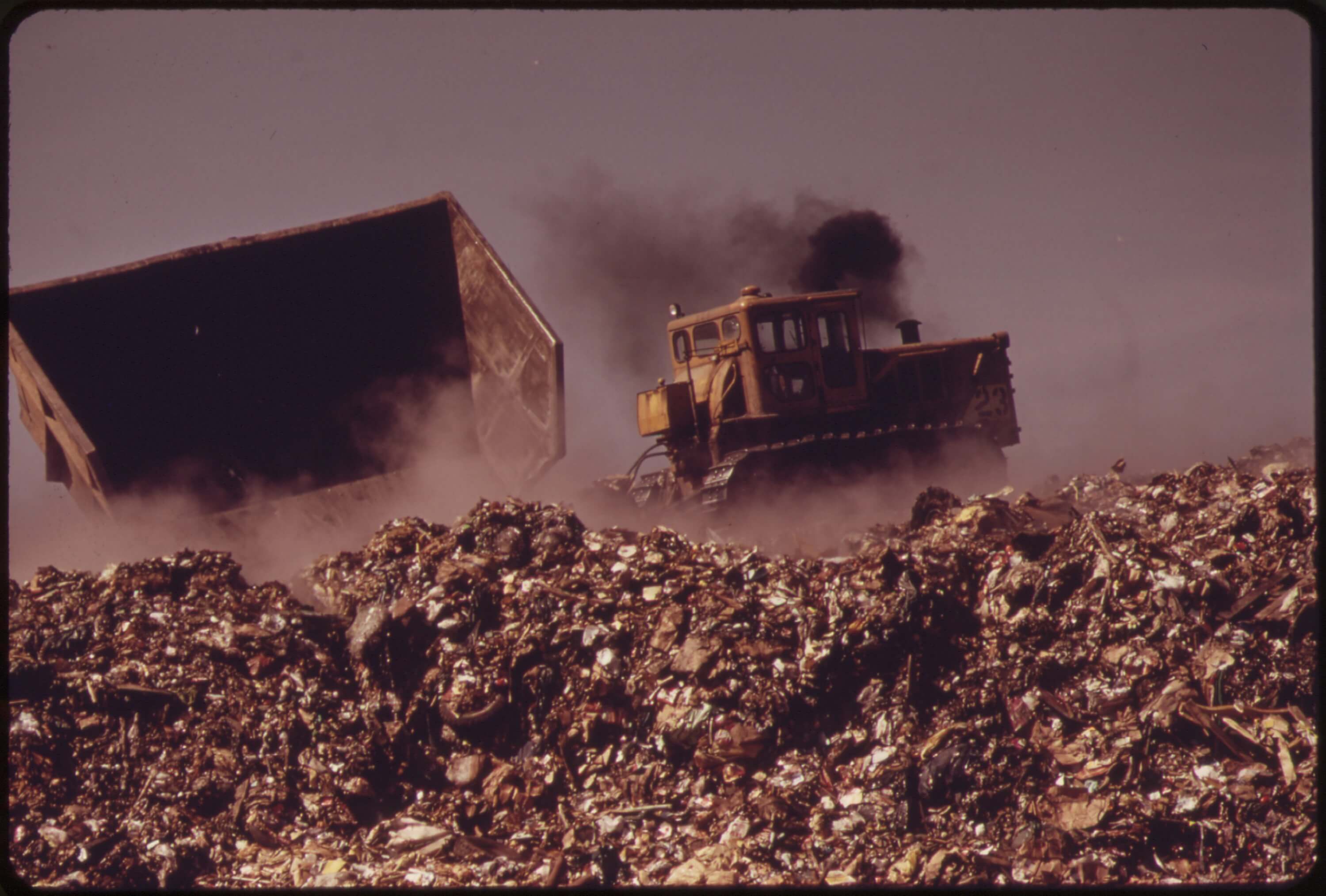 اخبار اجتماعی,خبرهای اجتماعی,شهر و روستا,ضایعات شهری