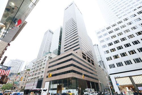 اخبار اجتماعی,خبرهای اجتماعی,حقوقی انتظامی,بنیاد علوی