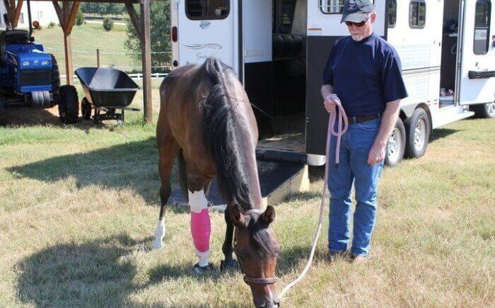 اسب،خواندنی ها و دیدنی ها،خبرهای جالب،اخبار جالب اخبار جالب,خبرهای جالب,خواندنی ها و دیدنی ها,اسب