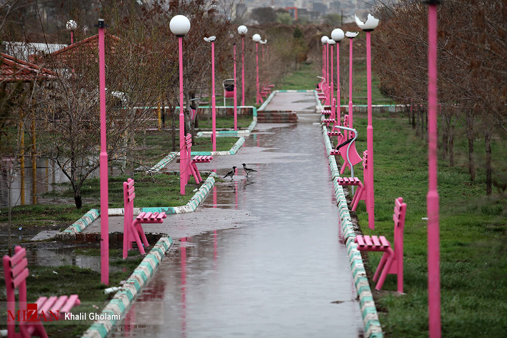 اخبار اجتماعی,خبرهای اجتماعی,محیط زیست,بارش باران
